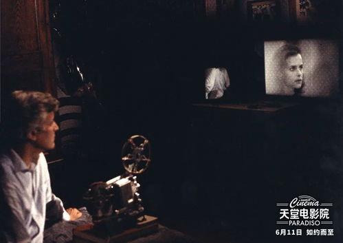 电影娱乐天堂,光影交织的梦幻之旅